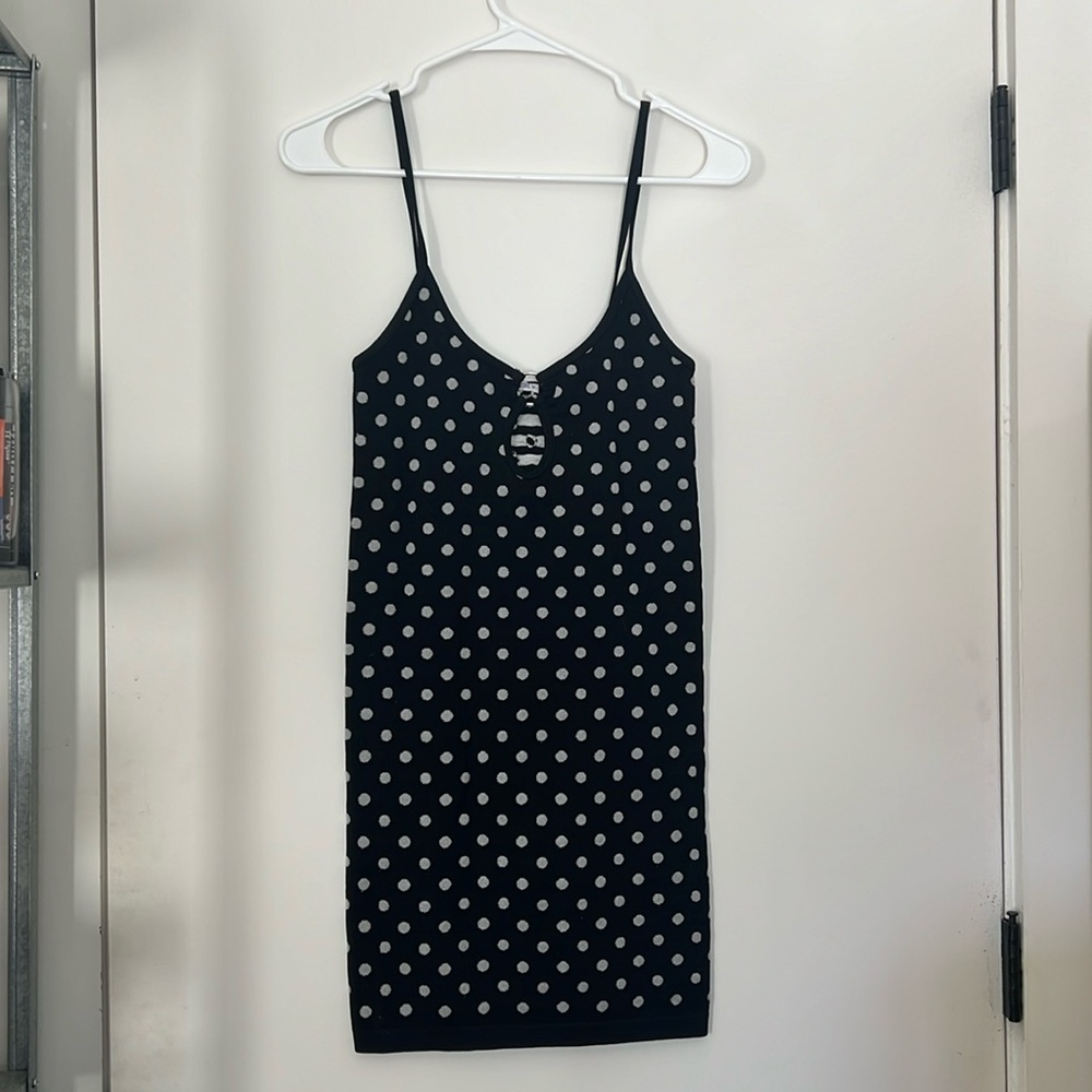 ZARA Seamless Polka Dress